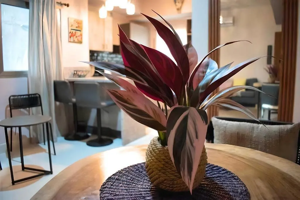 Acogedor Apartamento, Centrico Santo Domingo